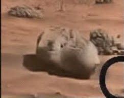 reddit bruno mars|Life on Mars: University of Leicester to detect clues for alien .